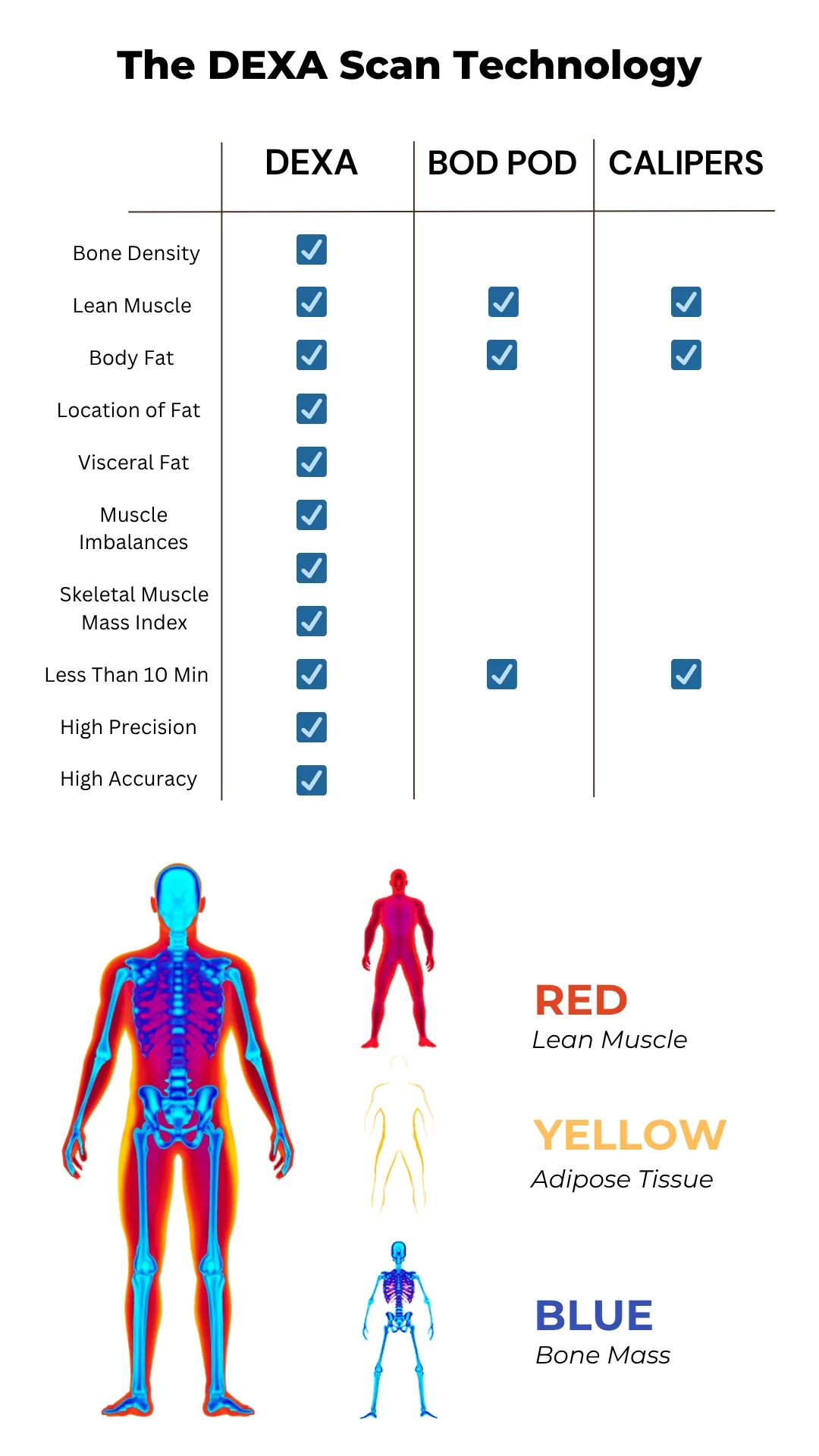 DEXA Scan in Paramus, NJ