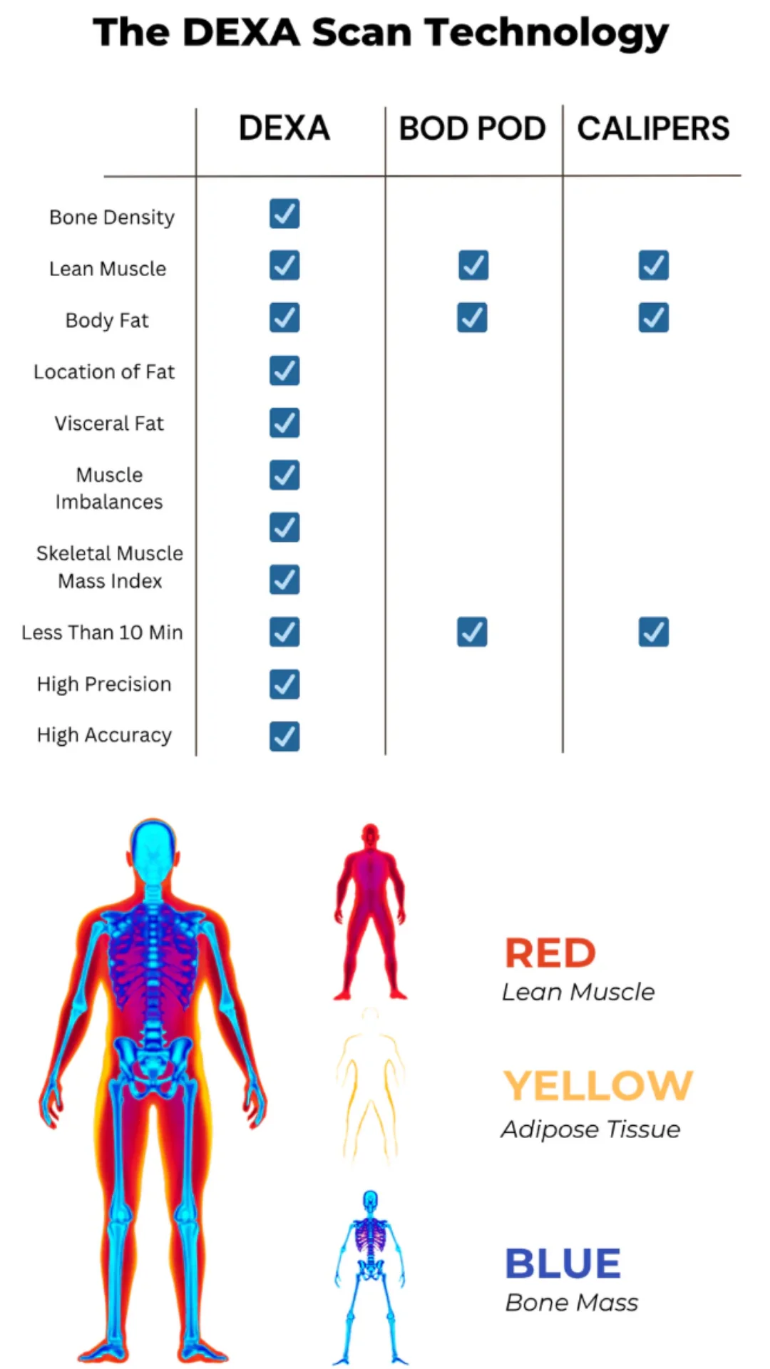 DEXA Scan in Jacksonville, FL 2 DEXA Scan in Jacksonville, FL