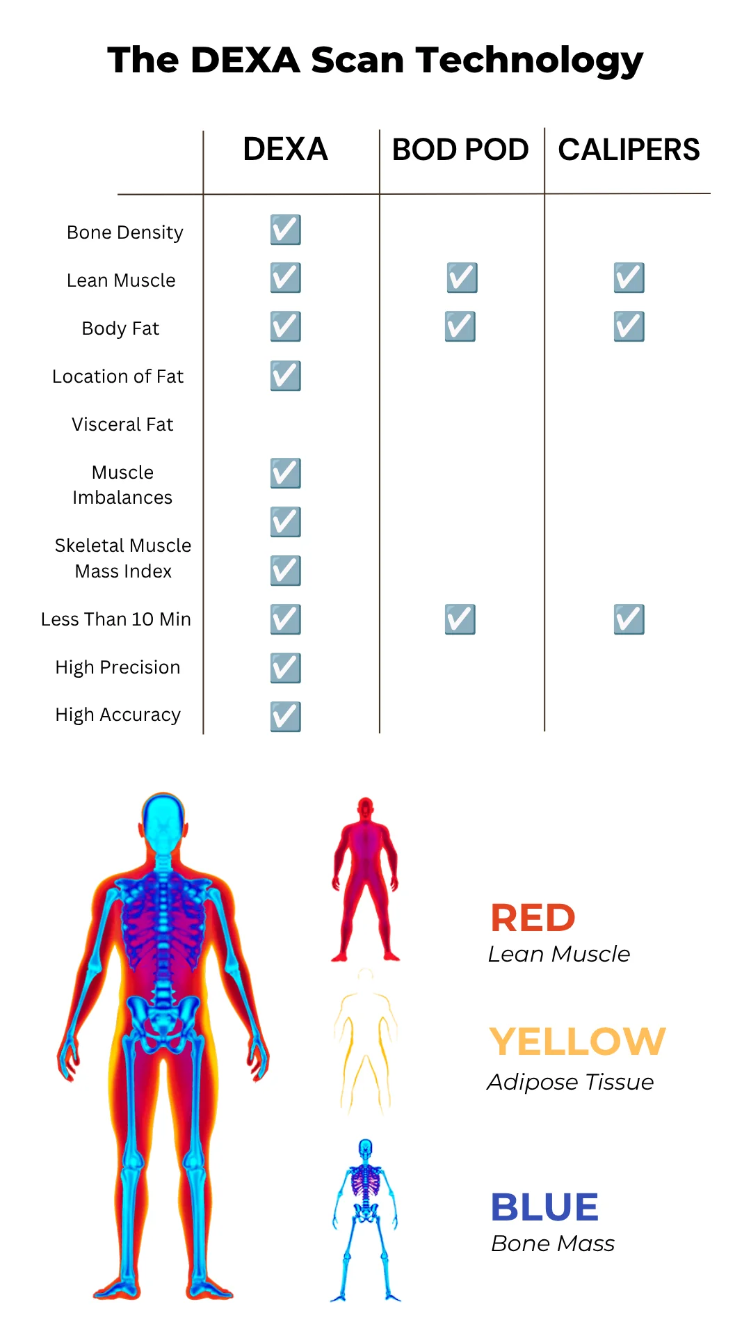 DEXA Scan in Alexandria, VA